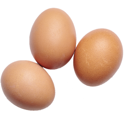 Protein